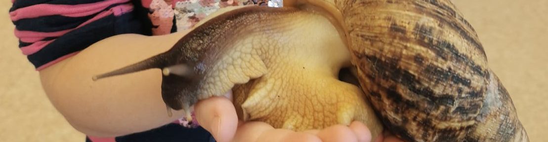 Warsztaty Zoologiczne Dla Dzieci